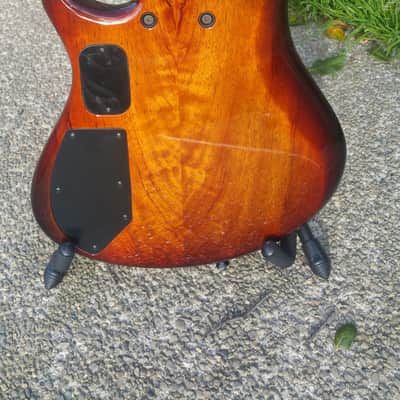 Roscoe SKB 3005 Custom 5 string bass guitar image 8