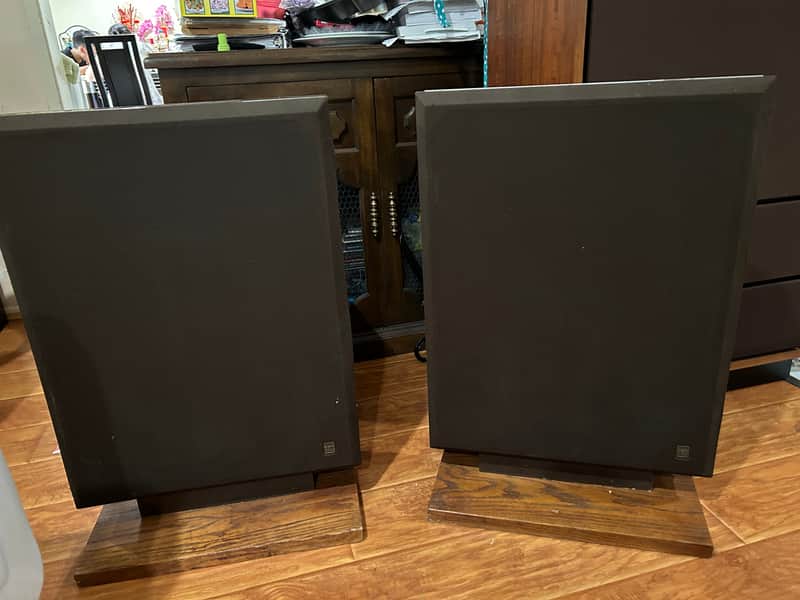 Rare BES SM 100 flat panel speakers image 1