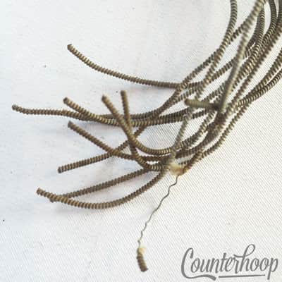 Leedy 15" 12-Strand Snare Drum Coiled Metal/Cloth 19" Wires Vintage 10s Marching image 3