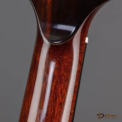 2019 Ryan Signature Series Nightingale, Brazilian Rosewood/Sinker Redwood image 21