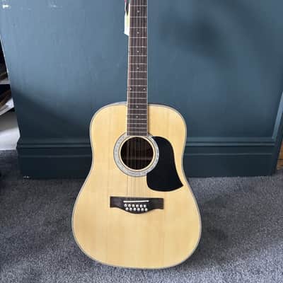 Aria 12 string Dreadnought AW 20 - T - N image 7