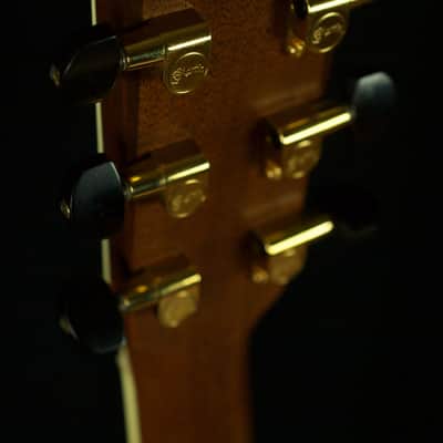 Martin DC Trey Anastasio 2005 natural image 10