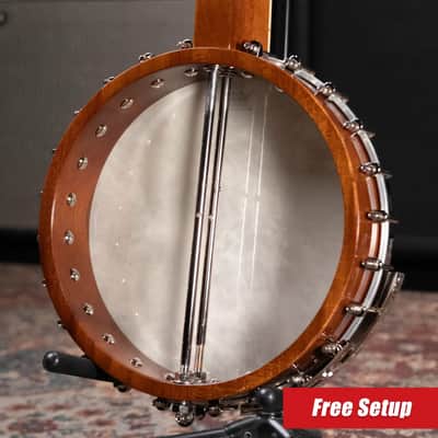Epiphone Mastertone Bowtie Open Back Banjo with Gig Bag image 2