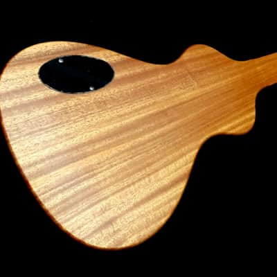 Rukavina Bass Lapsteel Guitar - 30" Scale image 5