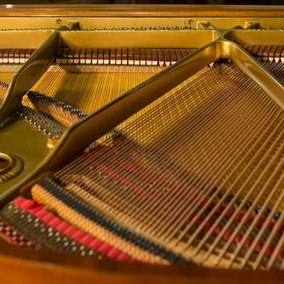Baldwin Baby Grand Piano - Model M - Made in USA 1963 - FREE Delivery in USA image 12