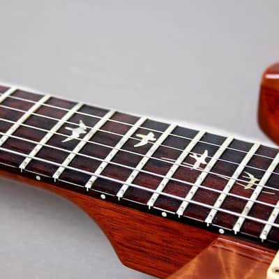 PRS USA Artist Package 20TH Anniversary Custom 22 "Brazillian Rosewood + Natural Burst" (2005) image 10