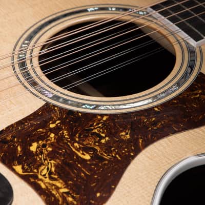 Taylor Legacy 855e image 16