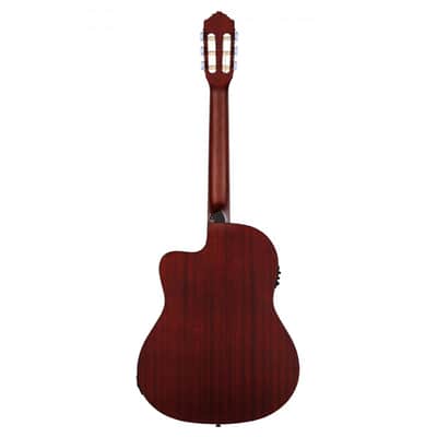 Ortega Family Series Thinline Acoustic-Electric Nylon Classical 6-String Guitar w/ Bag image 2