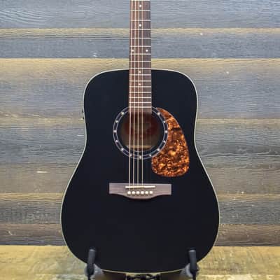 Norman Protege B18 Cedar Black Presys Dreadnought Acoustic