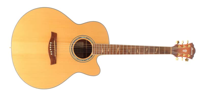 Ibanez AEL40SE-RLV-1202 (Resonant Natural Low Gloss Top / Vintage