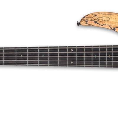 ESP LTD B-205SM Left Handed Electric Bass in Natural Satin image 2