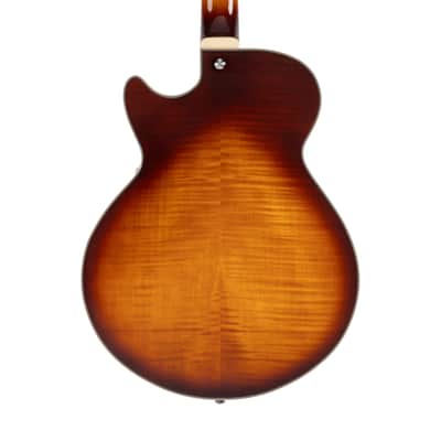 D'Angelico DAPSSDITBNS Premier SS- Dark Iced Tea Burst image 2
