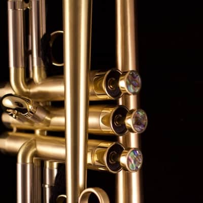 Show Demo Adams A8 Ergonomic Trumpet in Satin Lacquer image 3