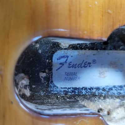 Fender Jazz bass 1978/1981 USA dot neck  HC image 13