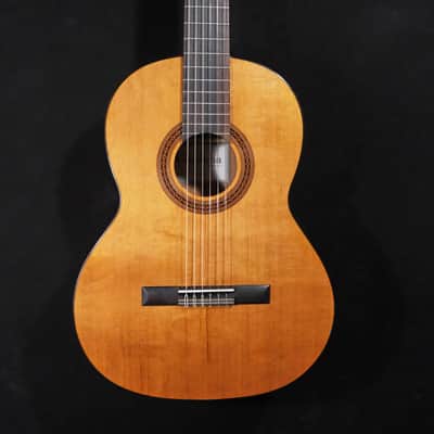 Cordboa Dolce 7/8 Nylon Guitar, Solid Cedar Top image 6