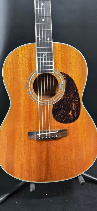 Zager Parlor E/N with case image 1