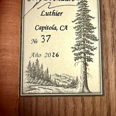 DiMauro #37 Engelmann Spruce & Indian Rosewood Classical image 15