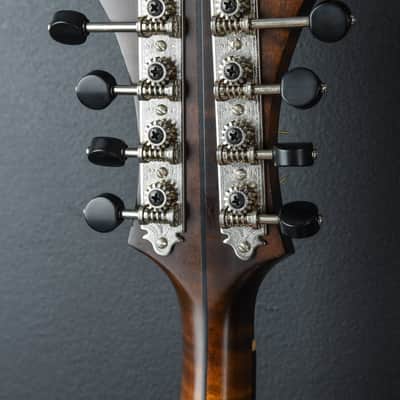 Northfield NFS-F5 Mandolin, Recent image 7