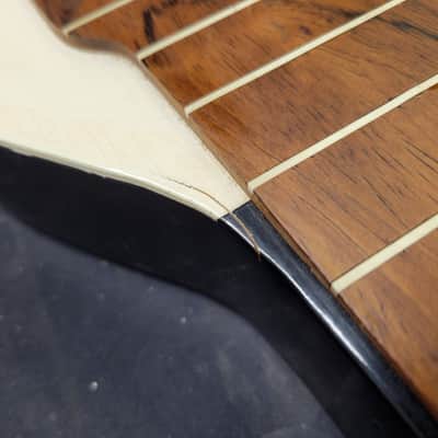 Epiphone Alkire E Harp 10 String Lap Steel 1948 image 21
