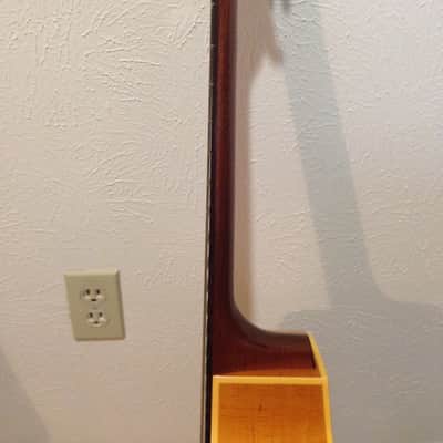 Seagull Artist Cameo CW iBeam Duet 2003 Antique Gloss image 8