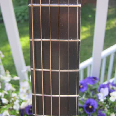 John C. Haynes Bay State Brazilian Rosewood Guitar image 9