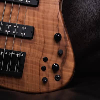 Fodera Emperor 4 Standard Special Figured Redwood 2025 (8,65 Lbs.) image 6