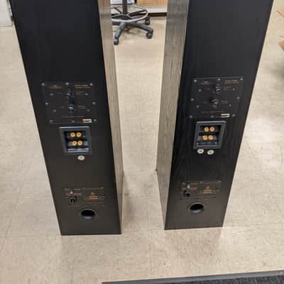 Sound Dynamics RTS-P100 Floor Standing Speakers (Black) image 4