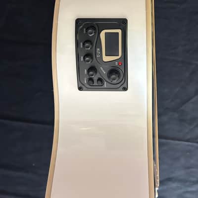 Rafferty Heartbeat ❤️ Acoustic Electric image 6