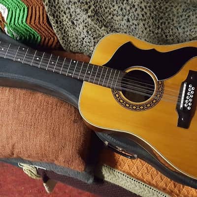 Vintage Eko J56 12-string Acoustic Guitar 1960's, Superb Playing Shape w/Case! image 1