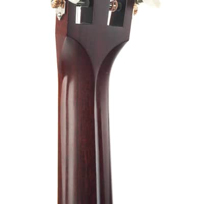Santa Cruz 00 Custom Figured Mahogany Moon Spruce Buttered Toast 2024 image 6