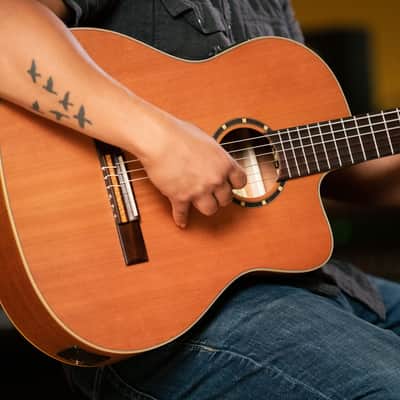 Ortega RCE131SN Family Series Pro Solid Cedar Top Mahogany Neck Cutaway Nylon 6-String Classical Acoustic-Electric Guitar w/Gig Bag image 20
