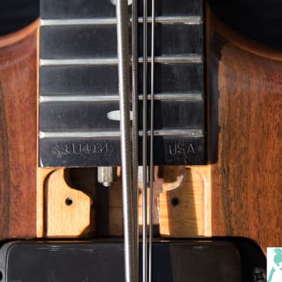 1988 Alembic Jimmy Johnson Signature Bass - Rare Collectible - Masterbuilt - Made in the USA image 9