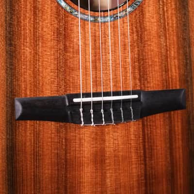 Taylor PS14ce-N Honduran Rosewood/Sinker Redwood Nylon Acoustic/Electric Guitar with Hardshell Case image 13