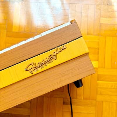 Super Rare Giaccaglia Chord/Reed Organ (Italy, 1960s) – vintage electric organ and harmonium! image 8