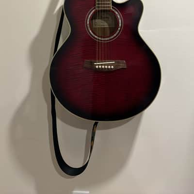 IBANEZ AEL20 acoustic guitars for sale in USA | guitar-list