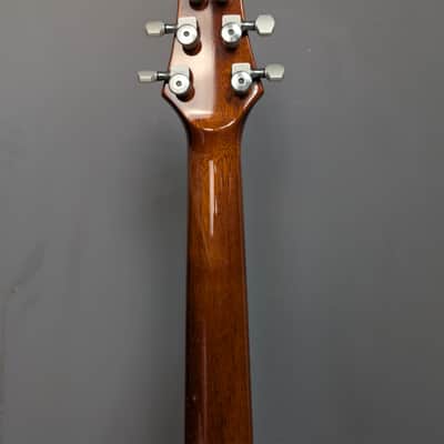 Carvin CT-4 burst image 14