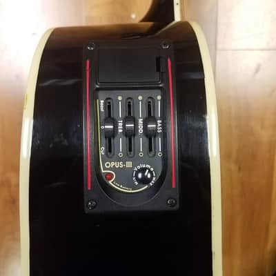 Esteban American Legacy Starlight Limited Edition Acoustic Electric Guitar image 7