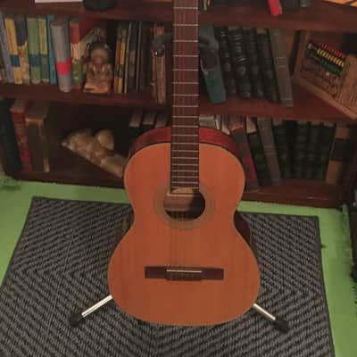 1960’s-1970’s Ariana A 102- N Classical guitar Natural image 1