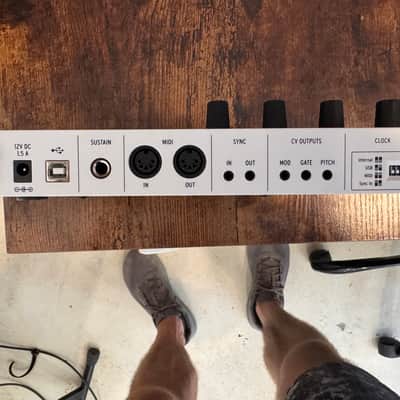 Arturia KeyStep 37 MIDI Controller 2021 - 2025 - White image 5