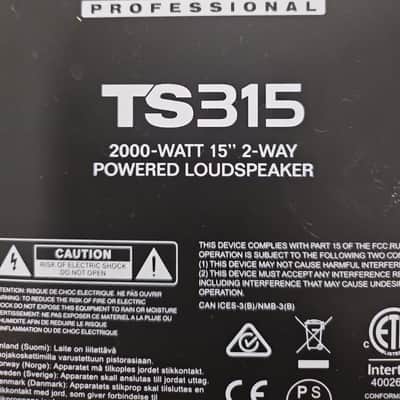 Alto Professional TS315 Amplifier Assembly image 2