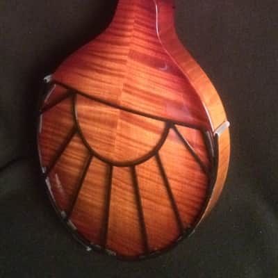 Mandolin Tone-Gard, SunriseGard, New, Black, Made in U.S.A. image 2