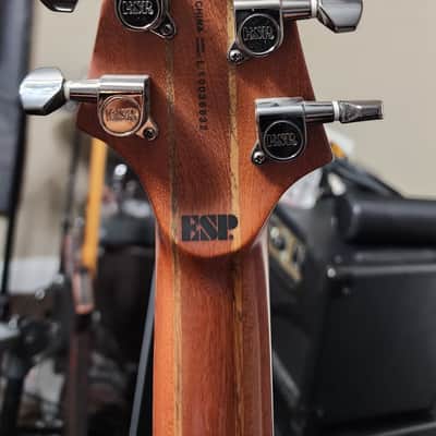 ESP LTD FX-360 SM 2010 - 2011 - Natural Satin image 10