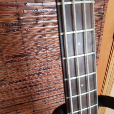 Vintage 70's Dan Armstrong Ampeg Clear Acrylic Bass -ADA6 image 14