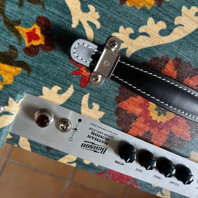 Benson Amps Nathan junior Reverb 1x10"  EU-Version 230V, Brandnew! image 3