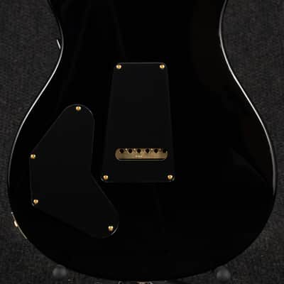 PRS DGT 10 Top Brazilian Wood Library - Purple Mist image 2