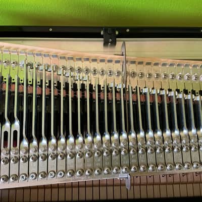 Rhodes MK 8 Stage 61 61-Key Electric Piano image 6