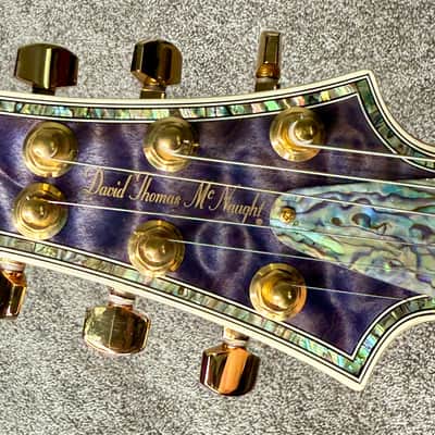 OBO: RARE David Thomas McNaught Phoenix Rising Limited Edition White Tiger Electric Guitar image 5