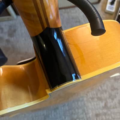 Epiphone Broadway E252- PAFs, NYC Neck image 11