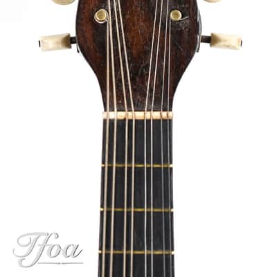 Luigi Fenga Bowlback Mandolin ca. 1920 image 2