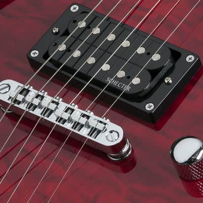 Schecter - C-6 Plus (Store Demo Savings)-Vintage Sunburst image 11